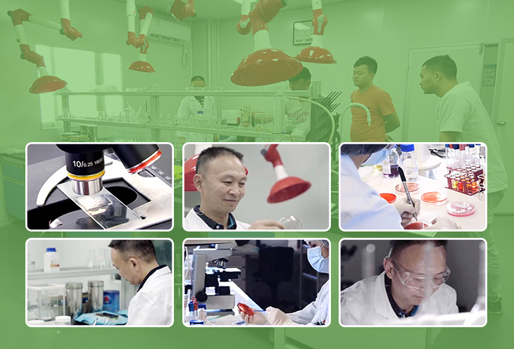 如何選擇質(zhì)量好的防霉片呢？